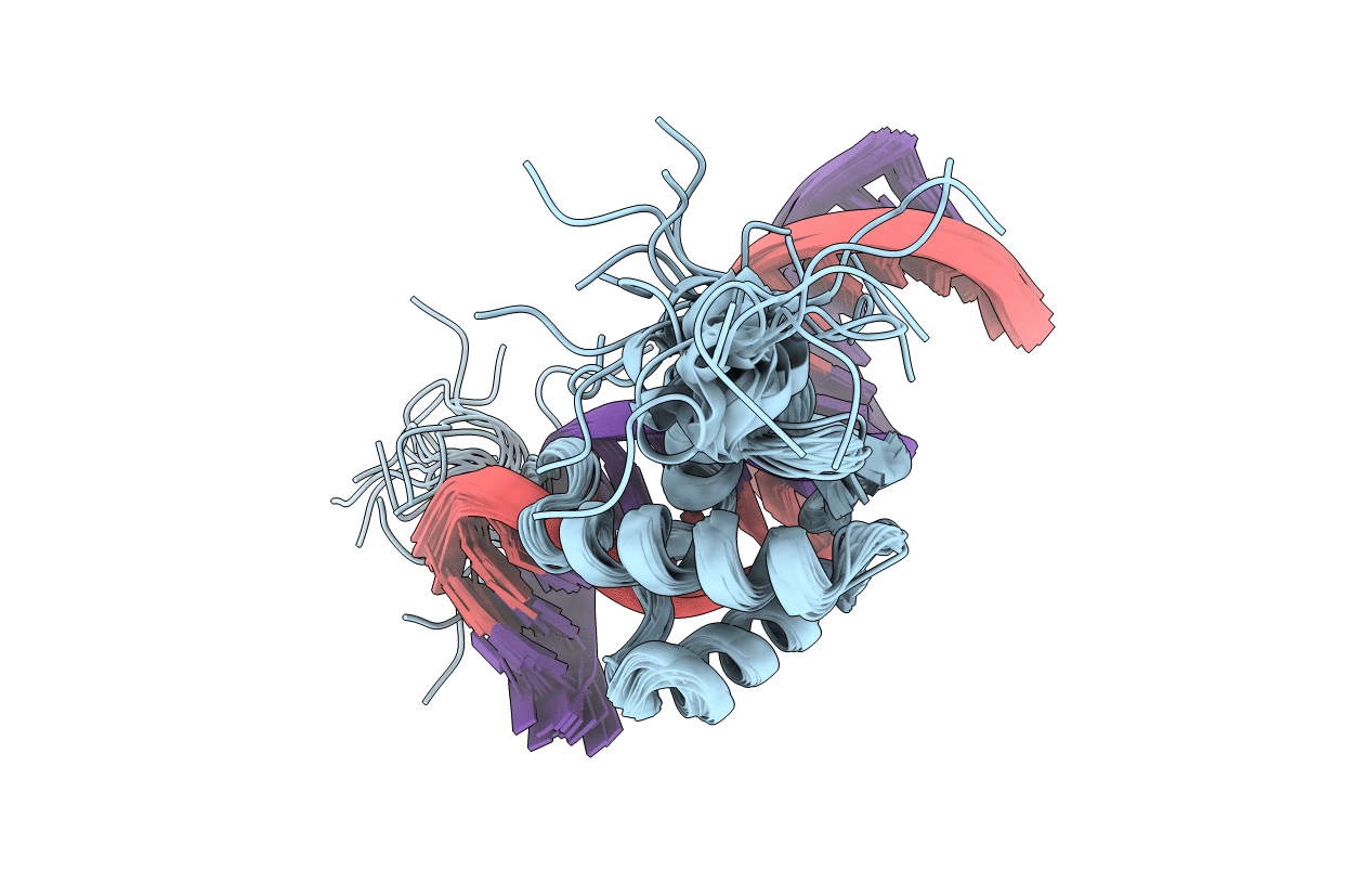 5ZUX image