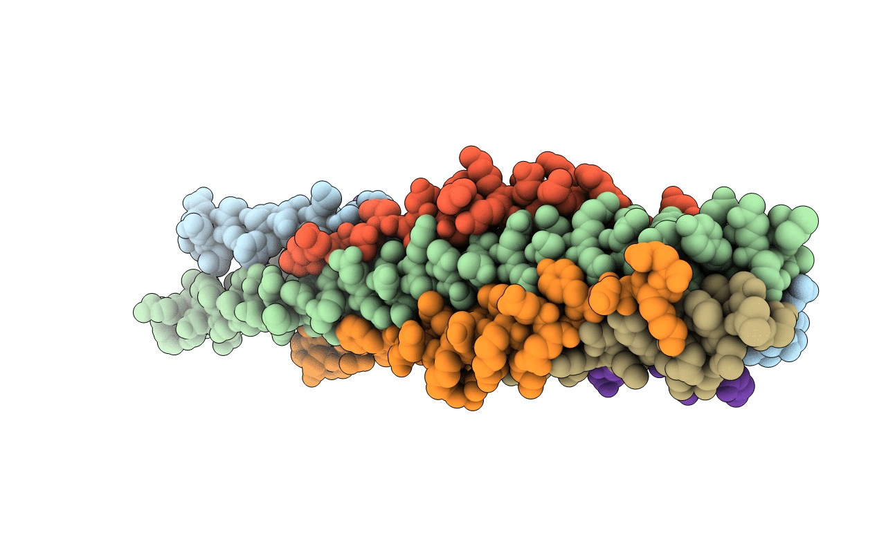 5ZVM image