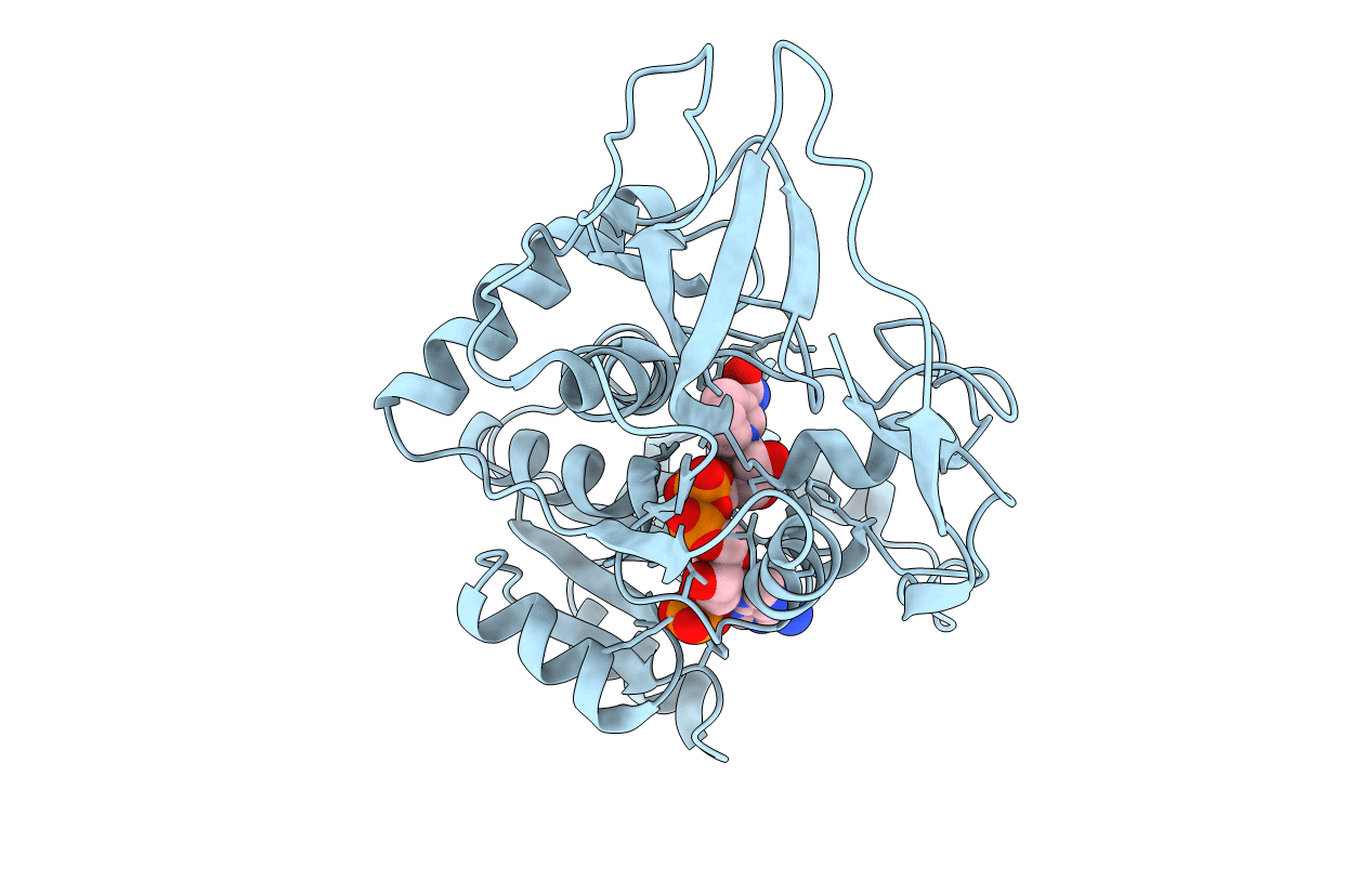 5ZXU image