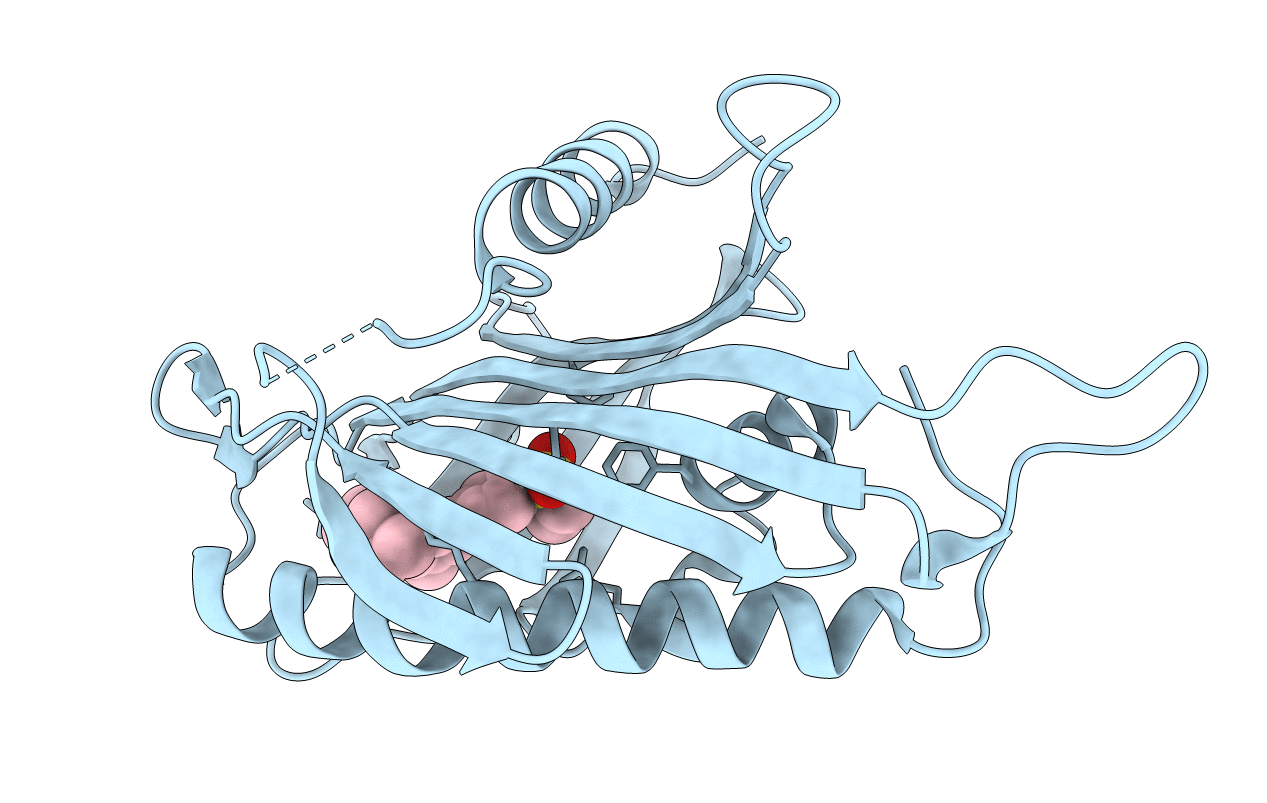 5ZYG image