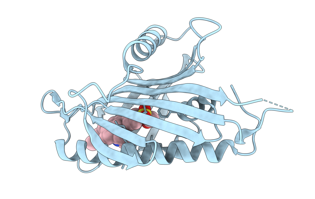 5ZYI image