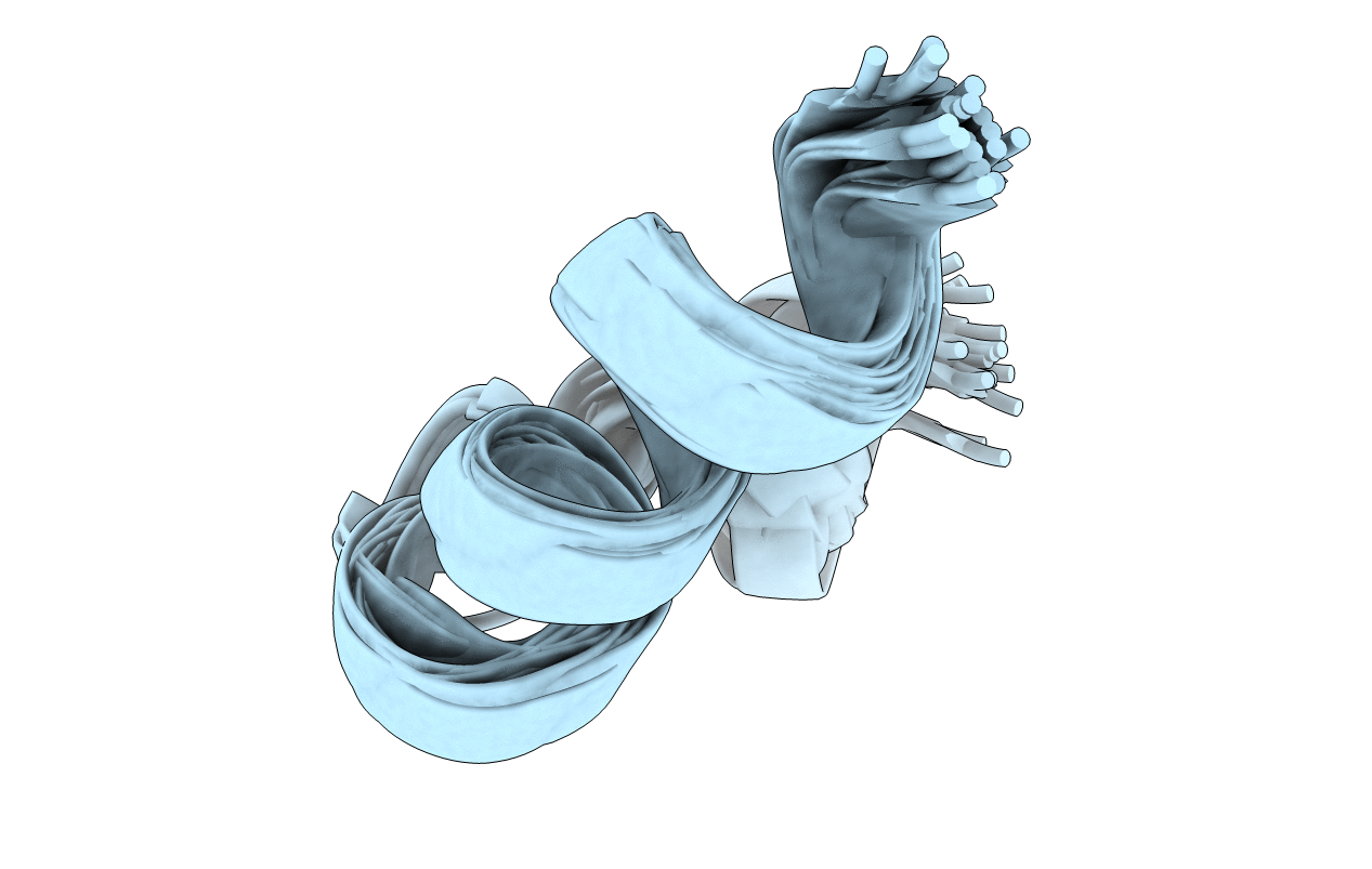 5ZYX image