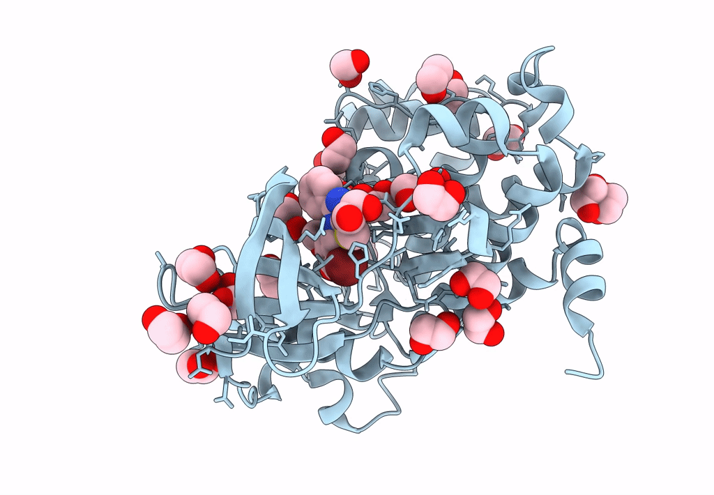 6A1C image