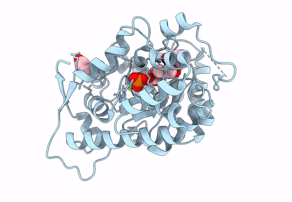 6A1L image