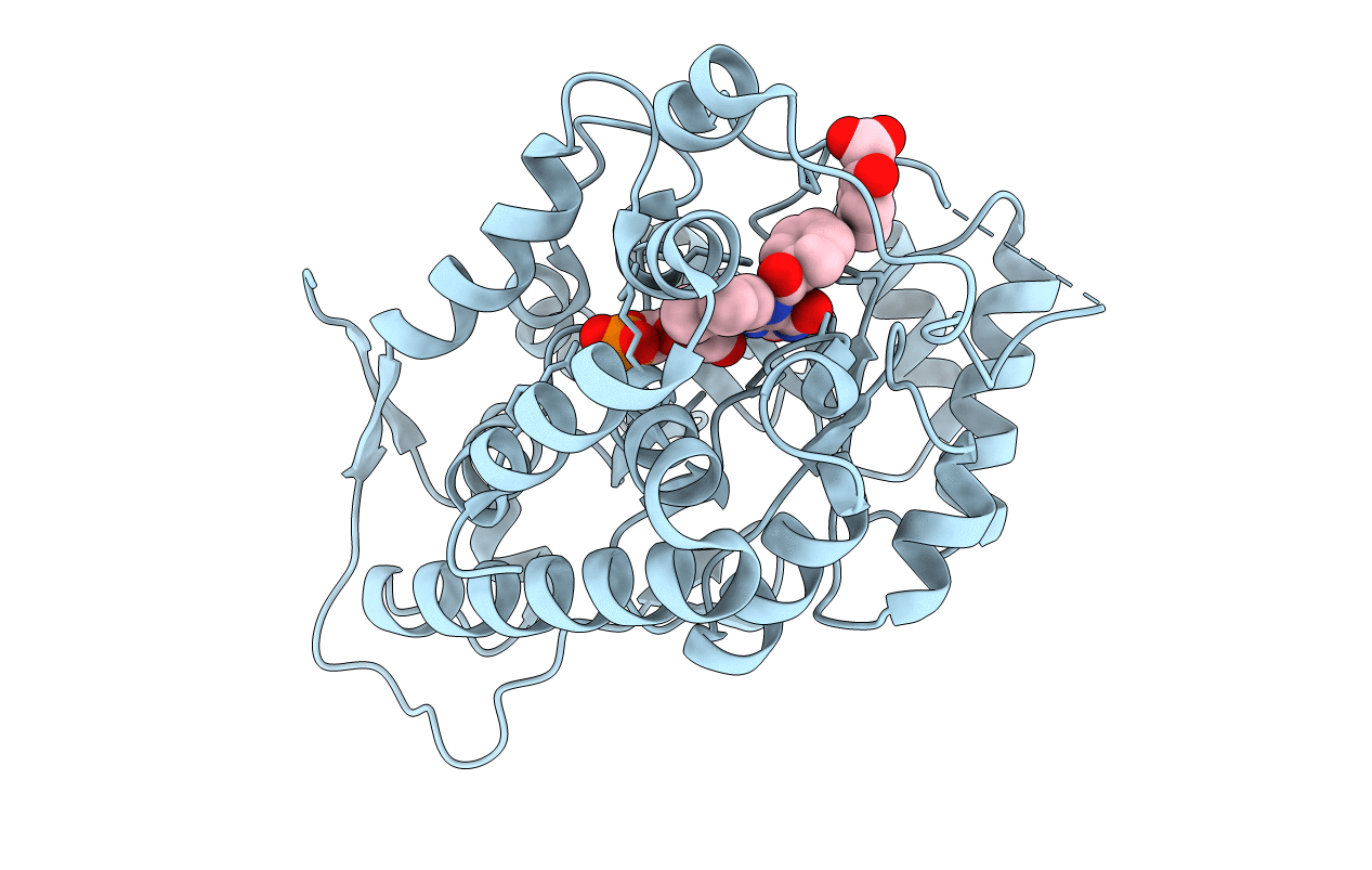 6A23 image