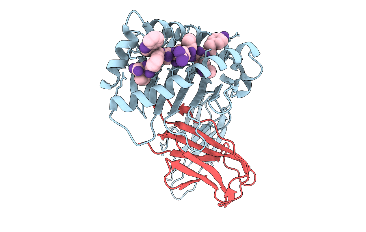 6A2B image