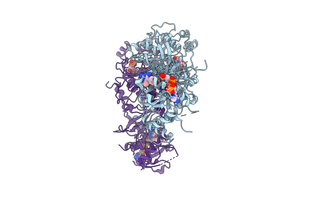 6A2N image