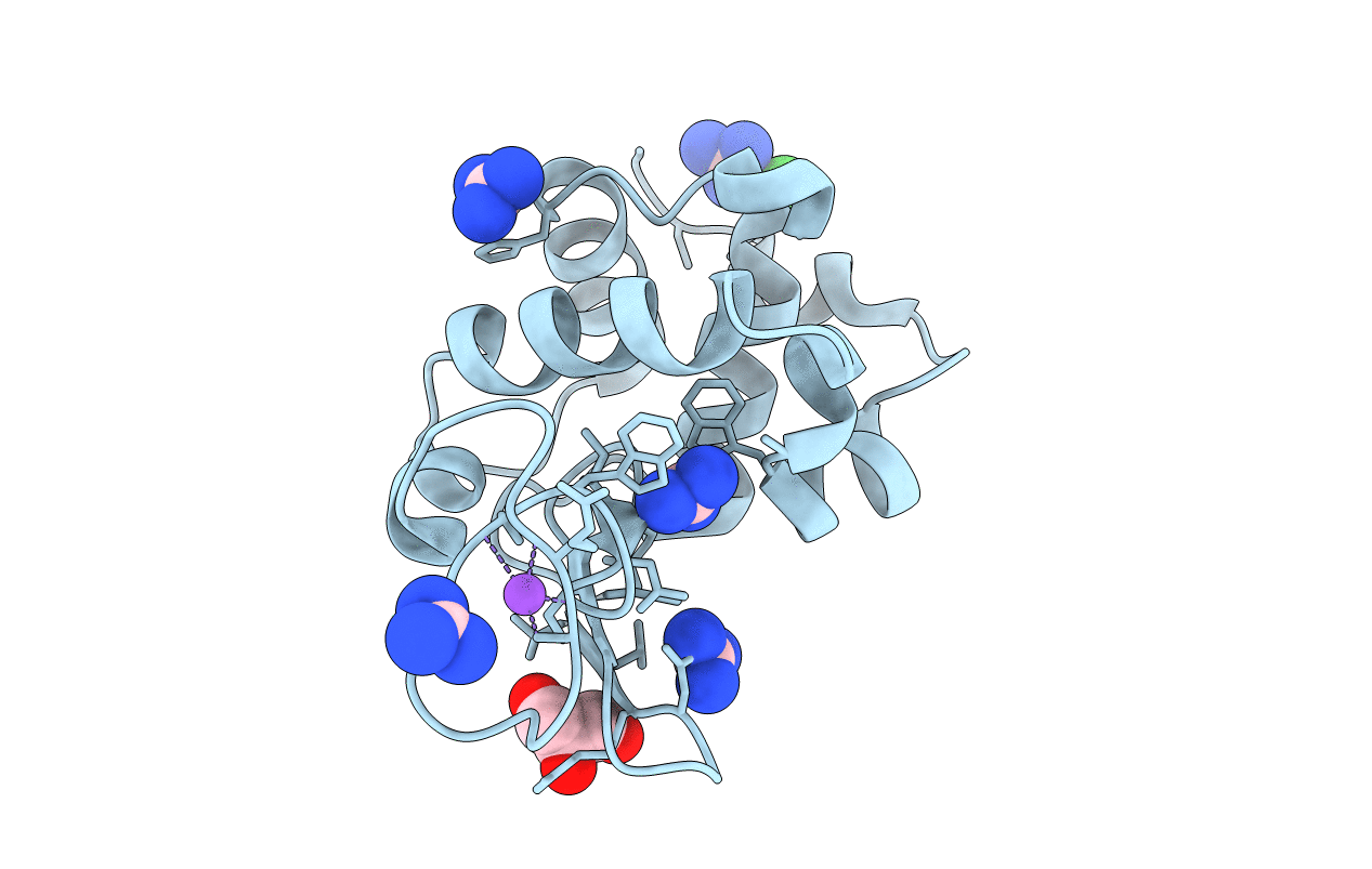 6A4N image