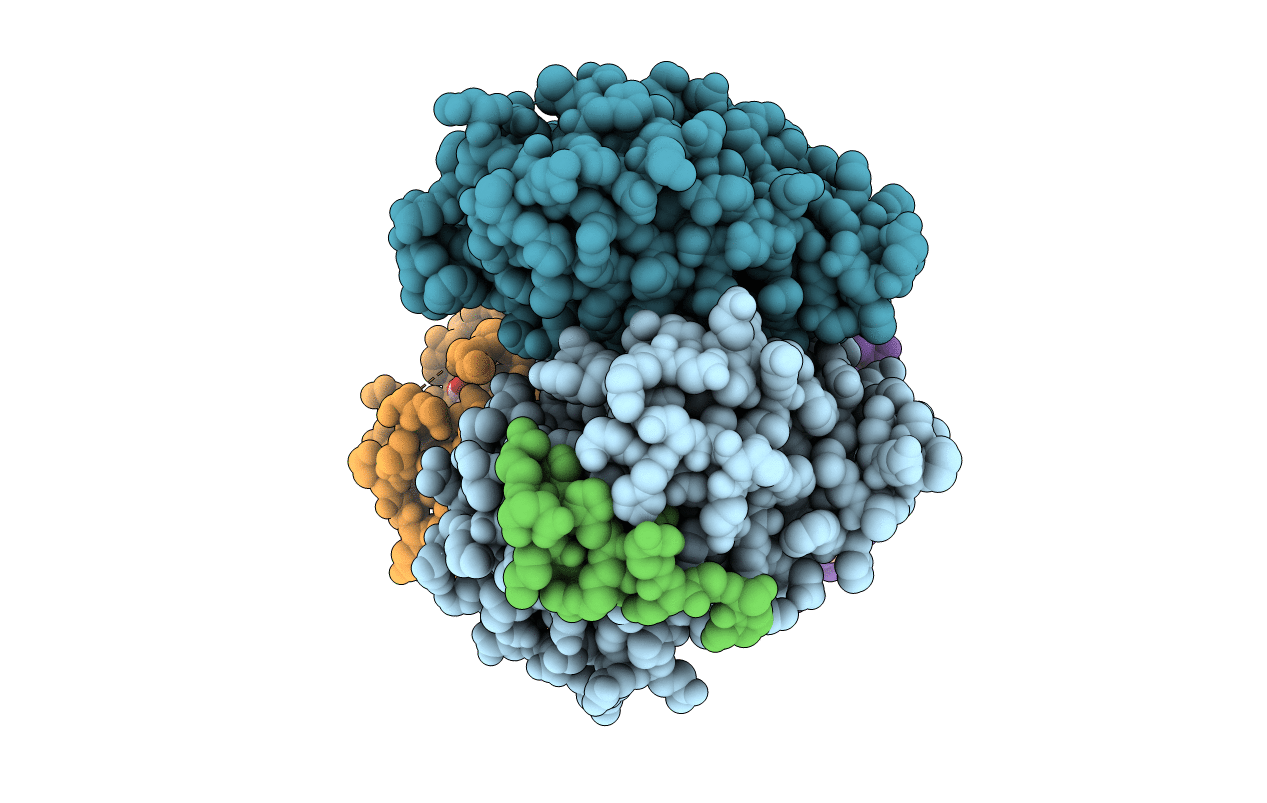 6A5Z image