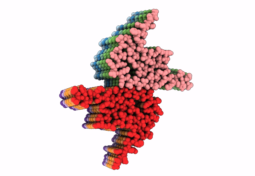 6A6B image