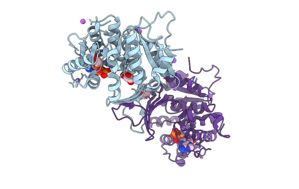 6A8C image