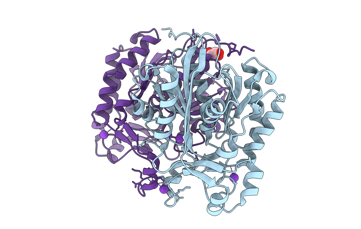 6A9N image