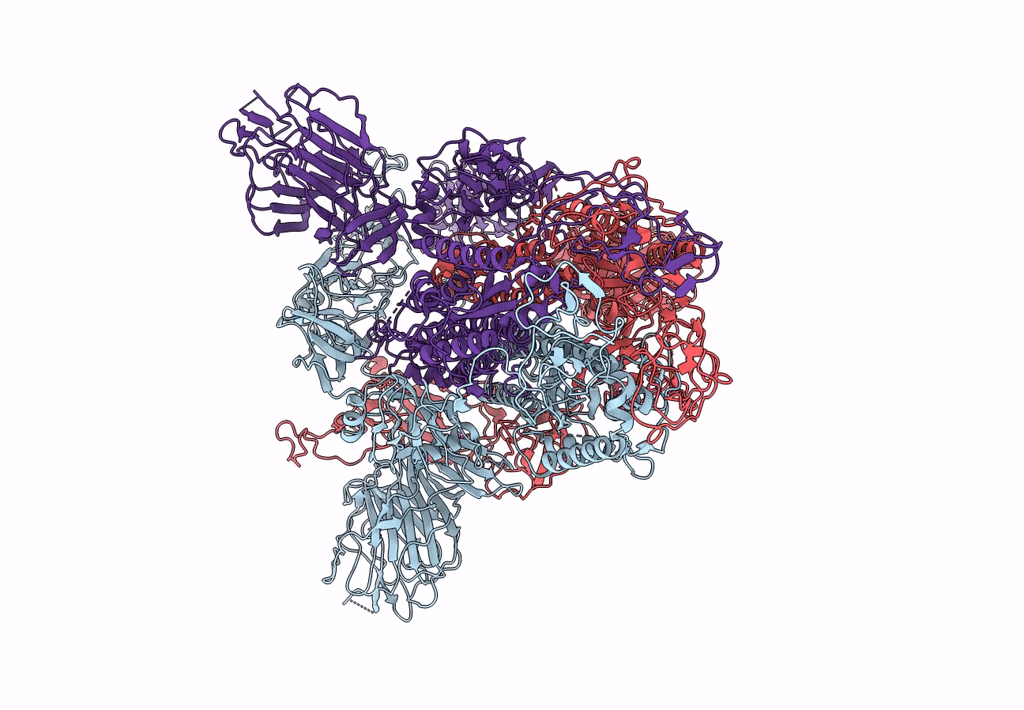 6ACD image
