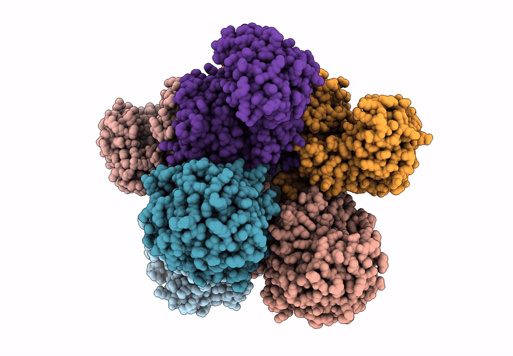 6ACF image