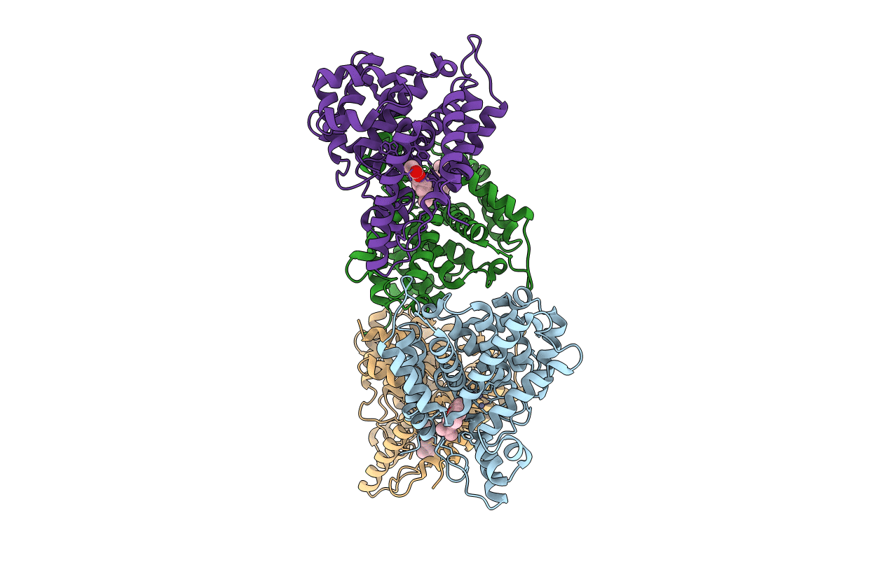 6AKR image