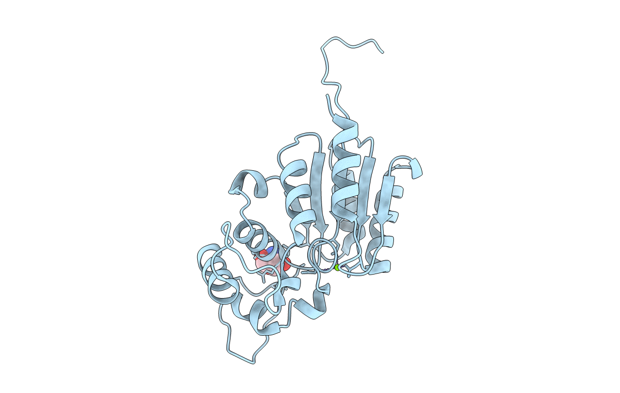 6AOK image