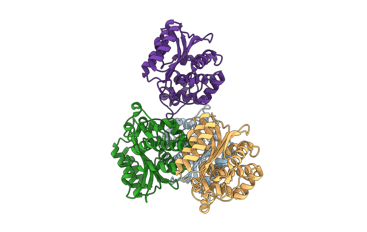 6APA image