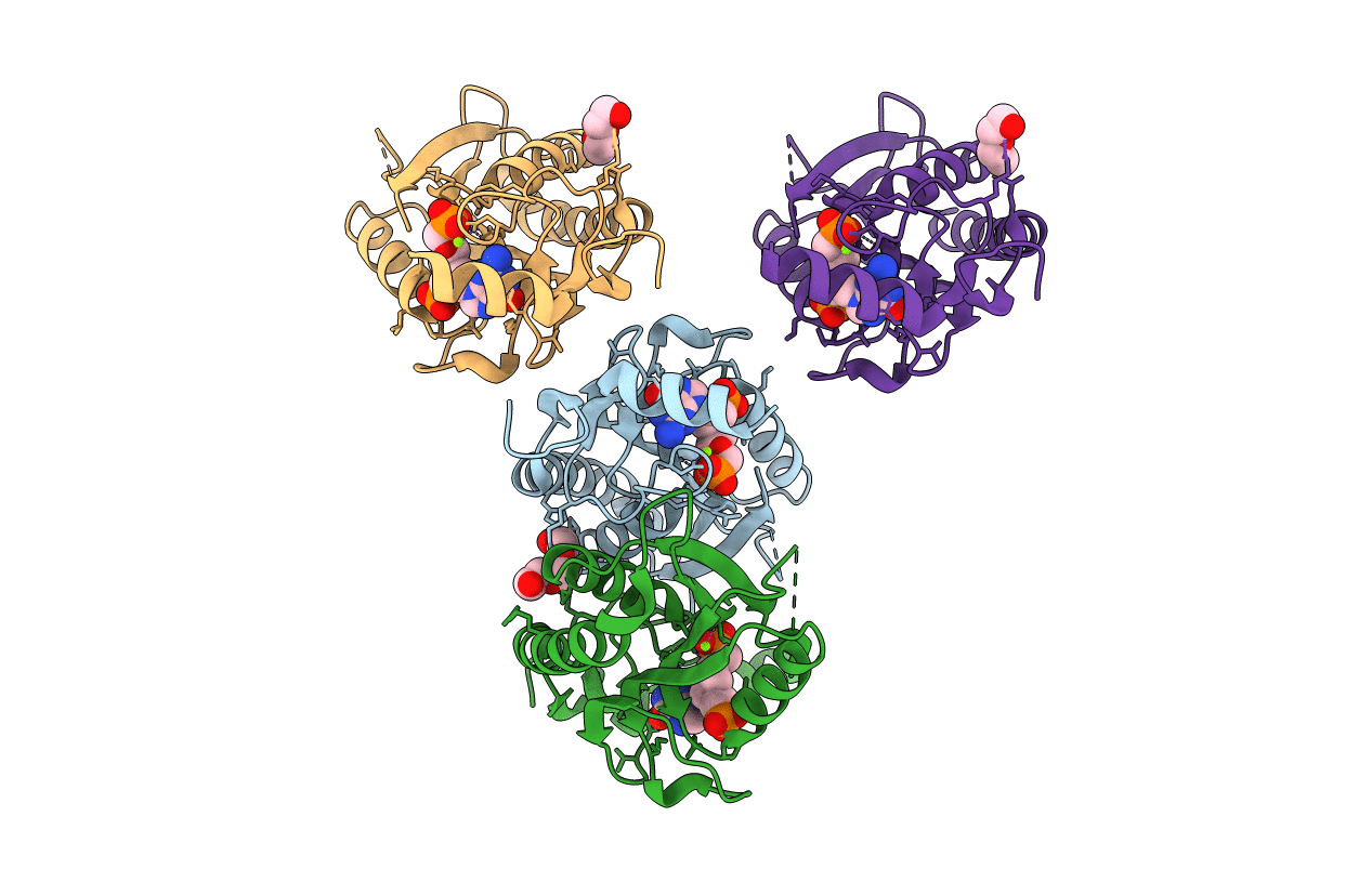 6APV image
