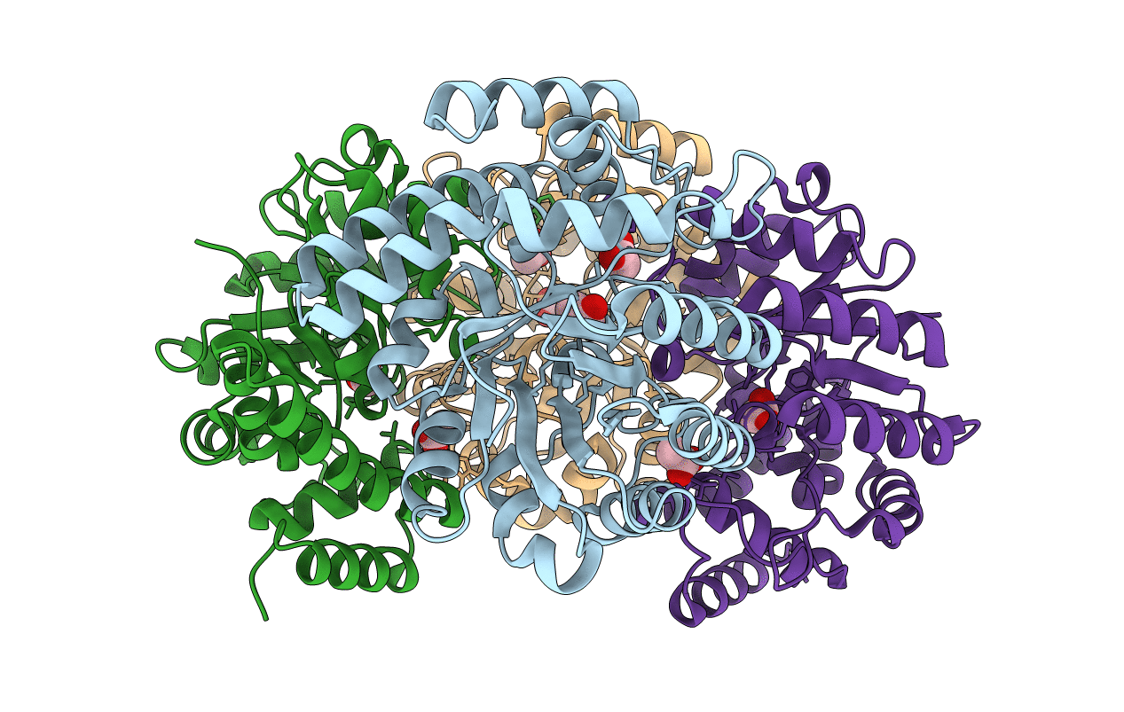 6ARH image