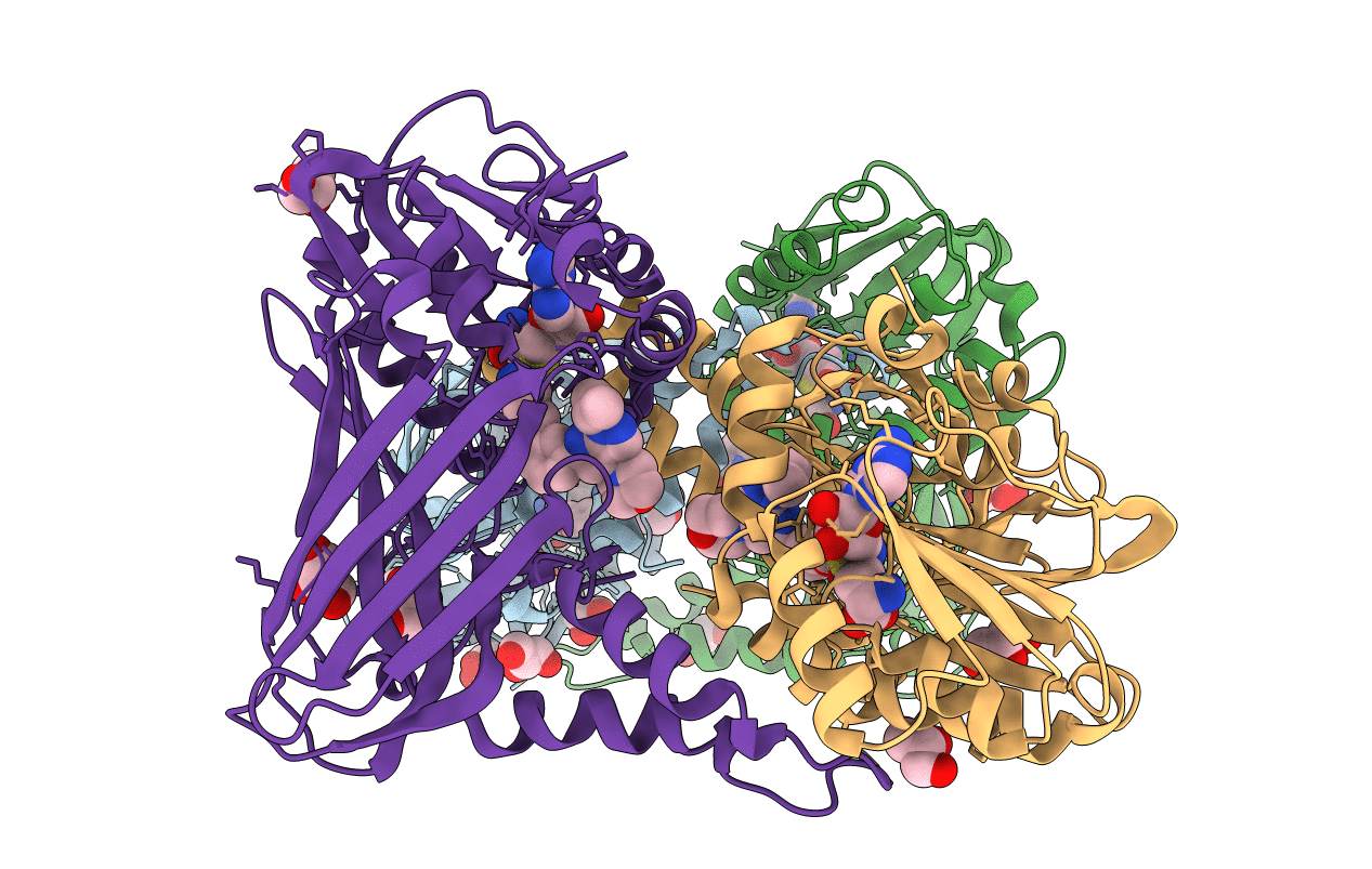 6ARV image