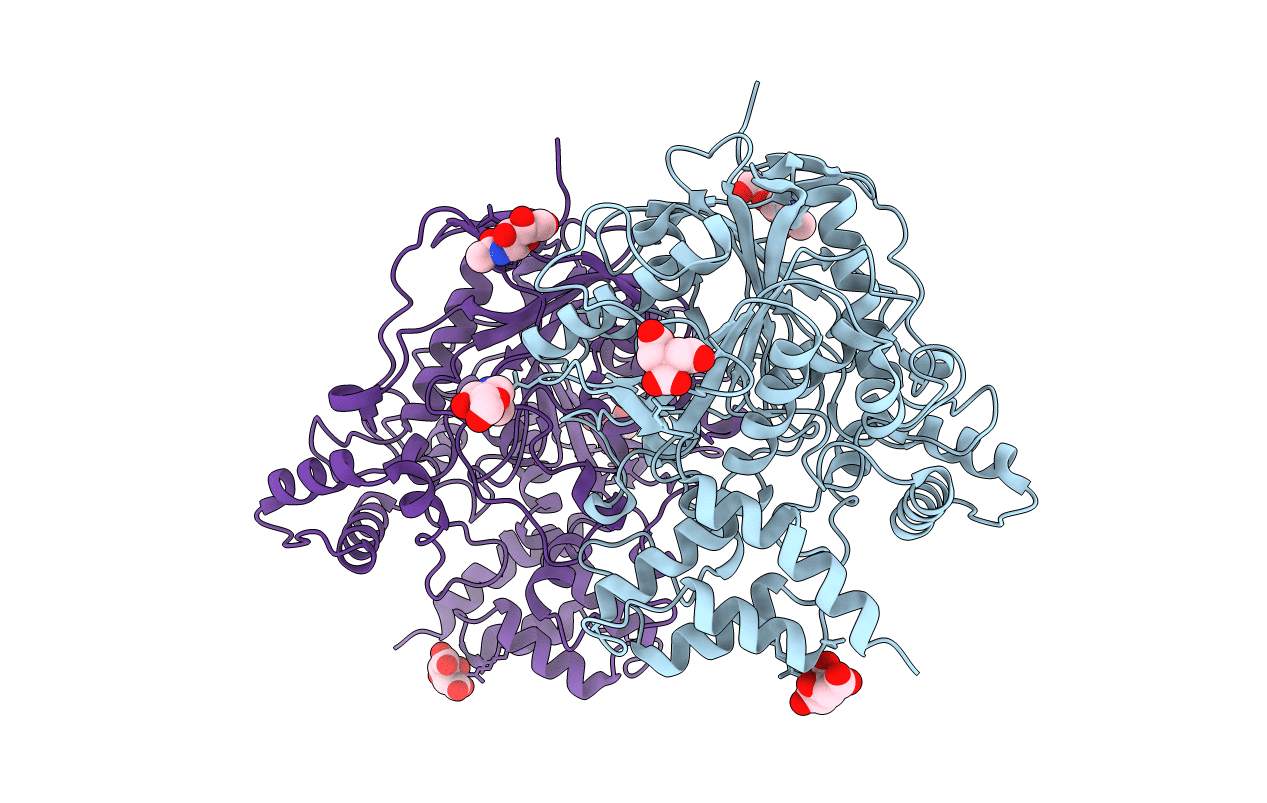 6ARX image