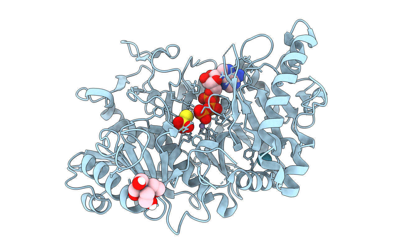6ASM image