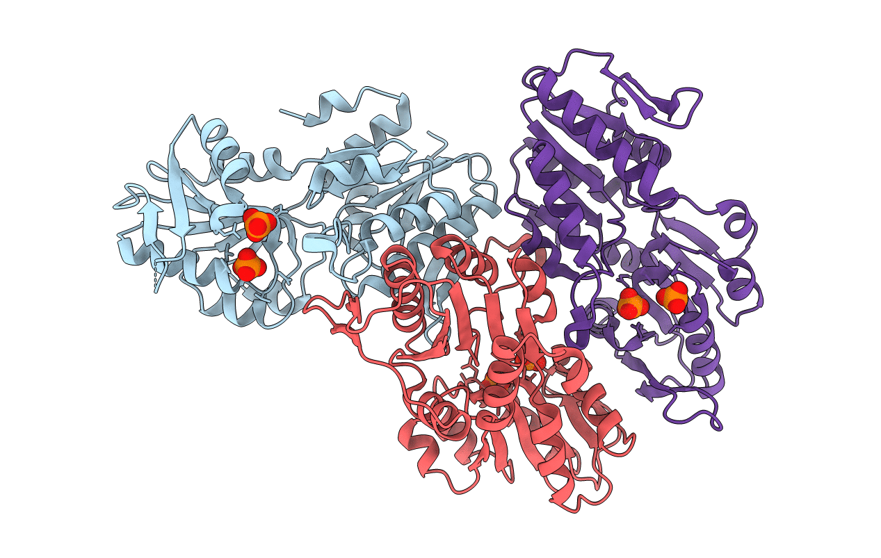 6ASV image