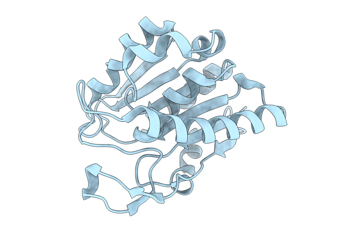 6AVX image