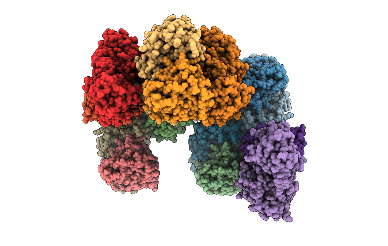 6AXF image