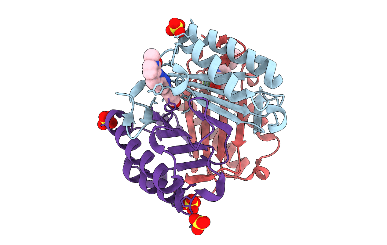 6B1C image