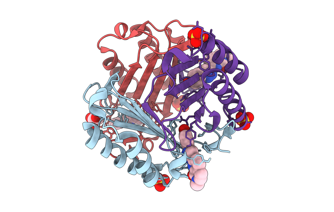 6B1K image
