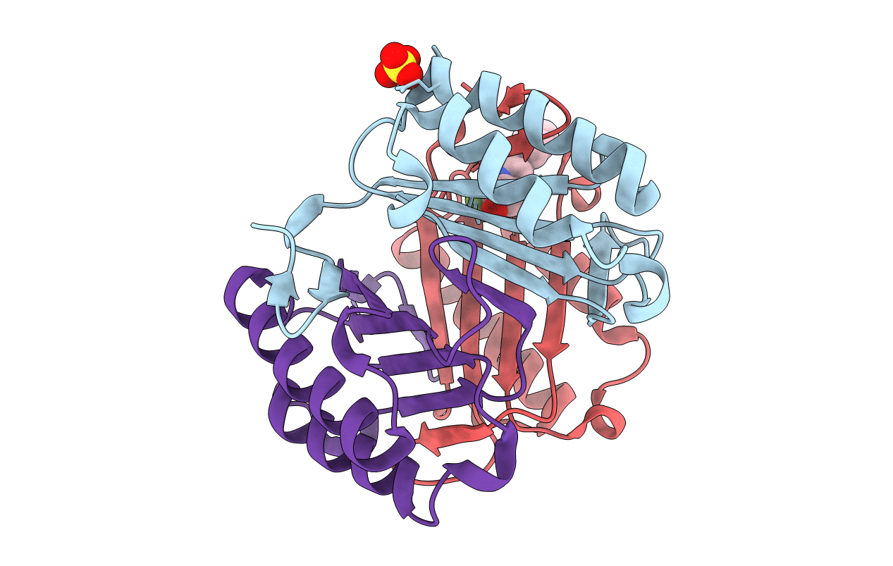 6B2C image