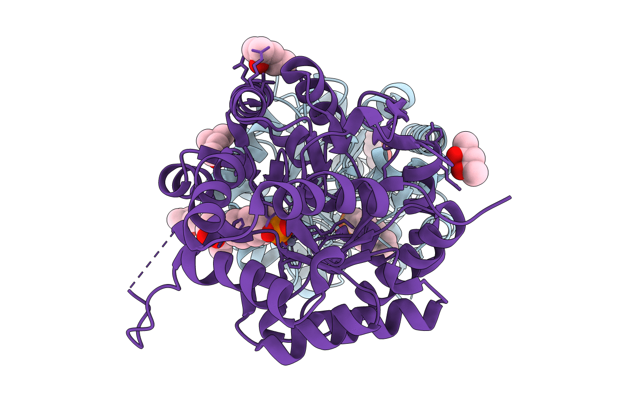 6B2F image