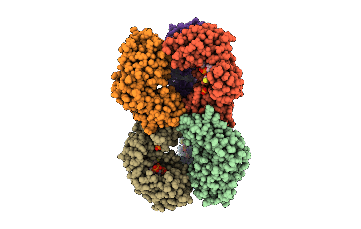 6B2M image