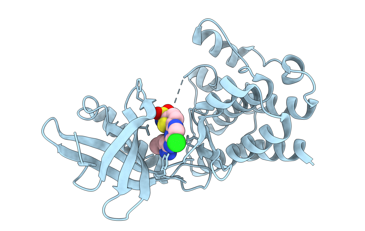 6B2P image