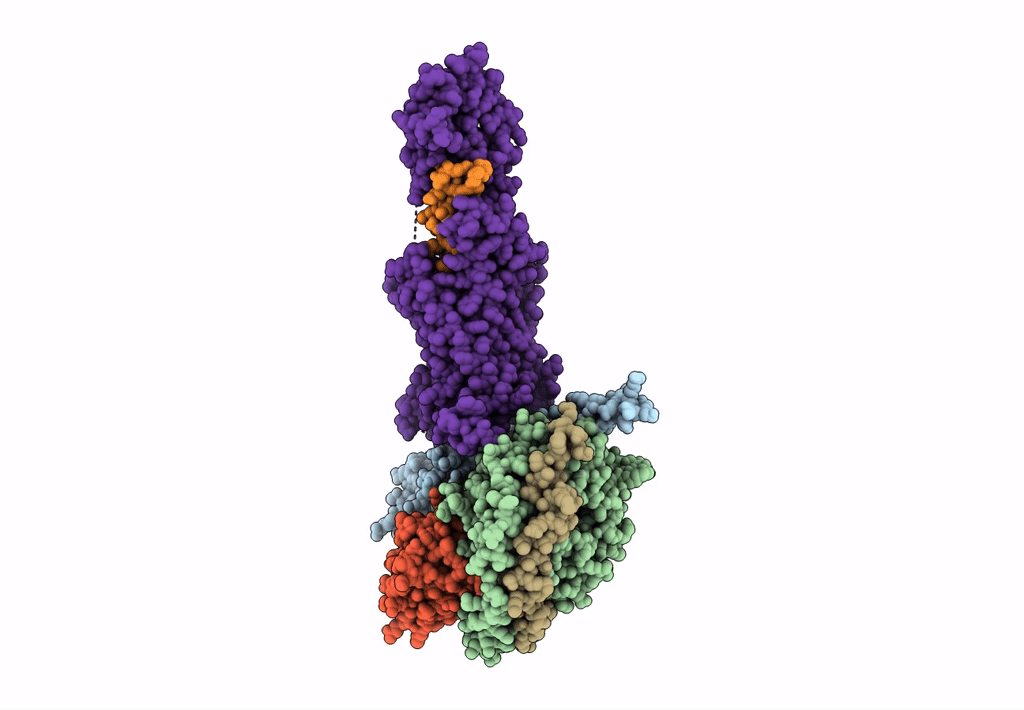6B3J image