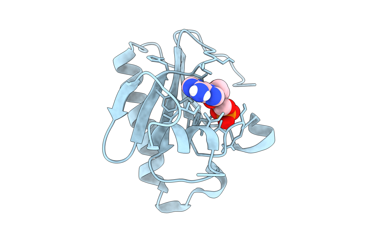 6B42 image