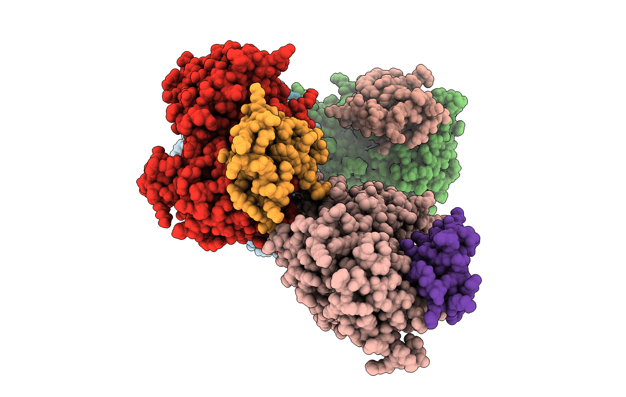 6B4G image