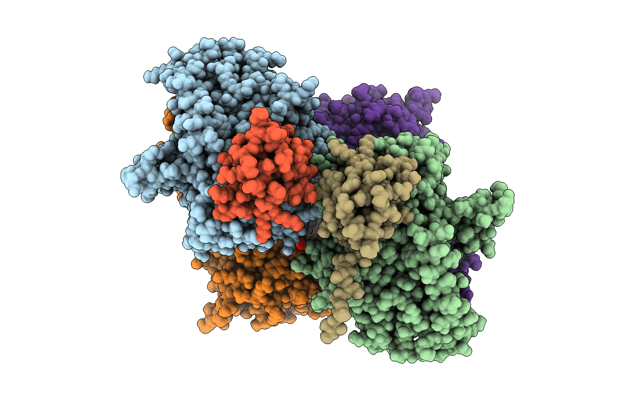 6B4I image