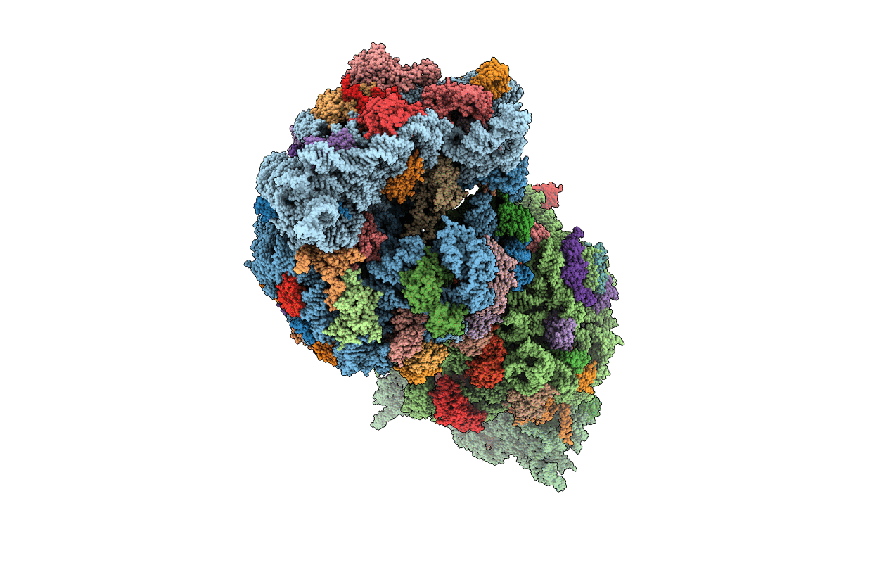 6B4V image