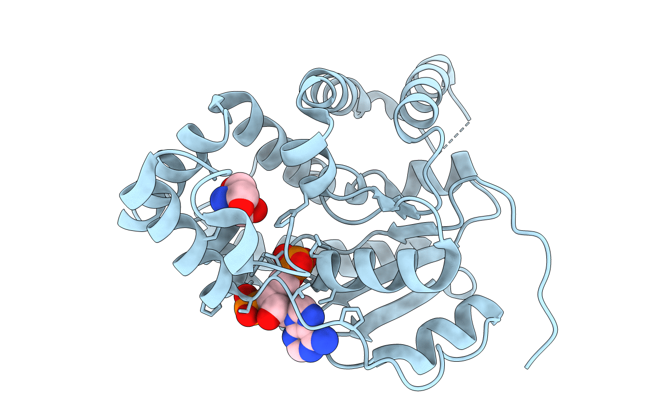 6B4Z image
