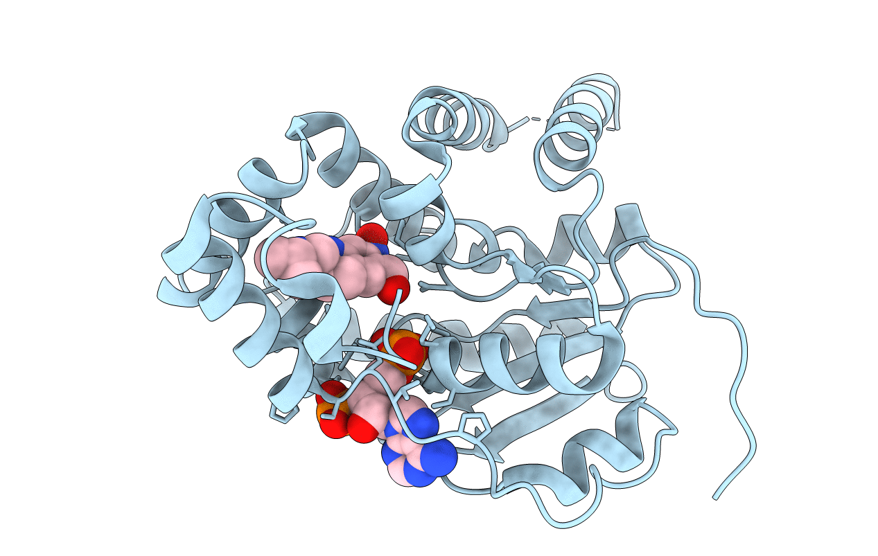 6B50 image