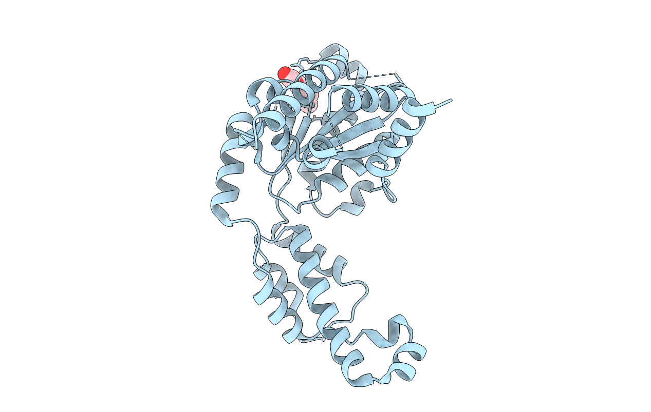6B5C image