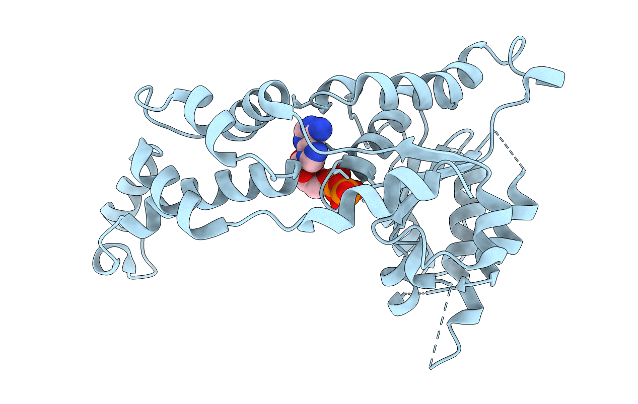 6B5D image