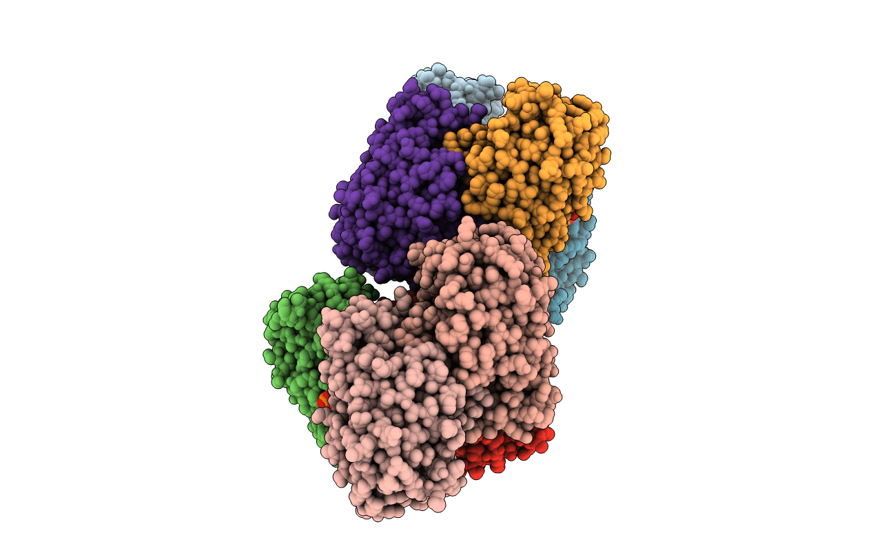 6B5E image