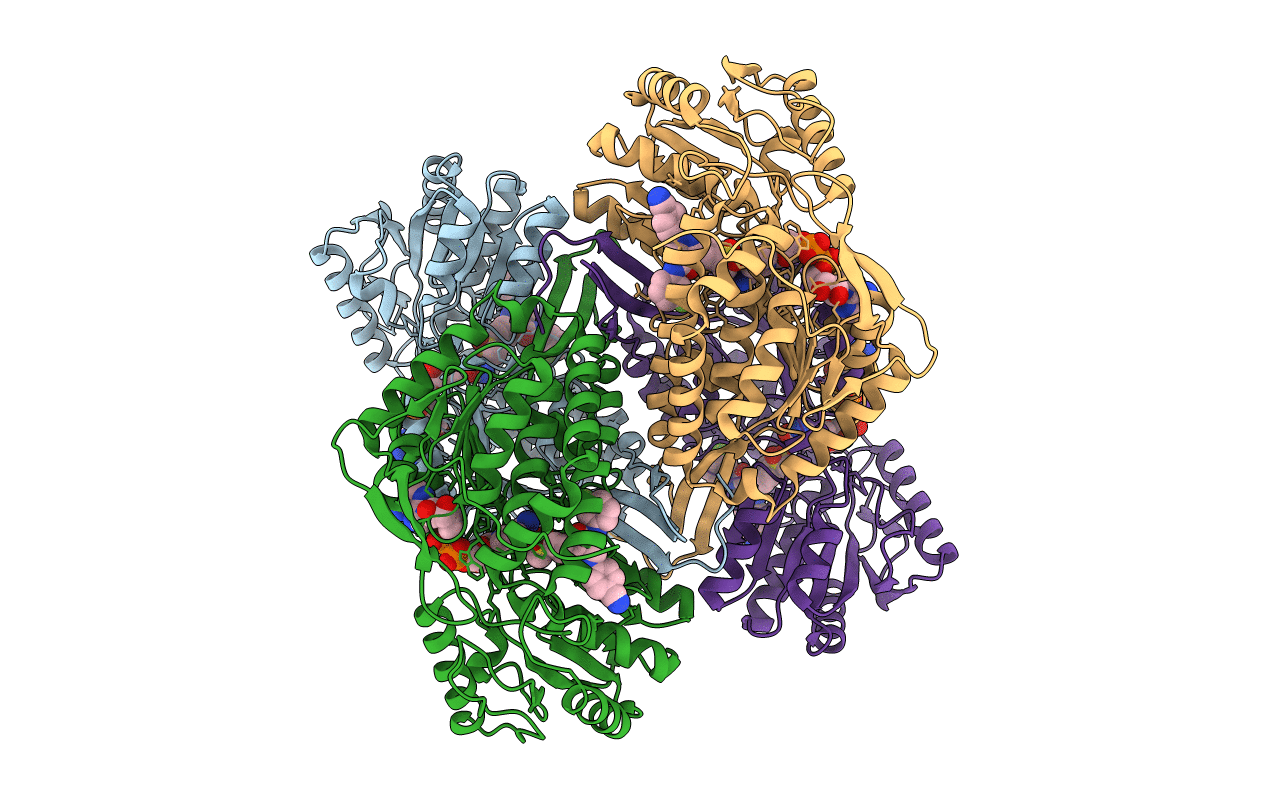 6B5H image