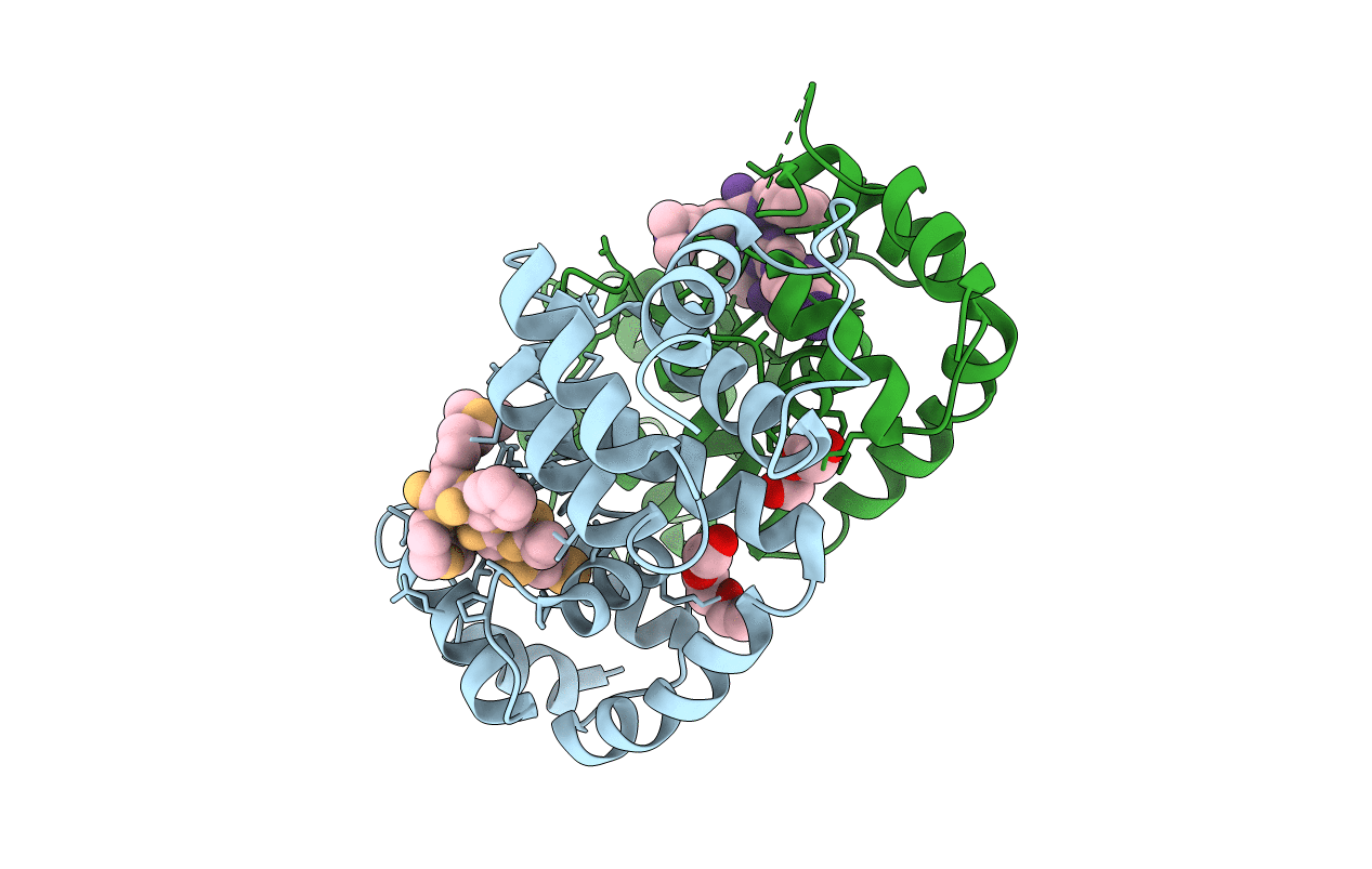 6B5Q image