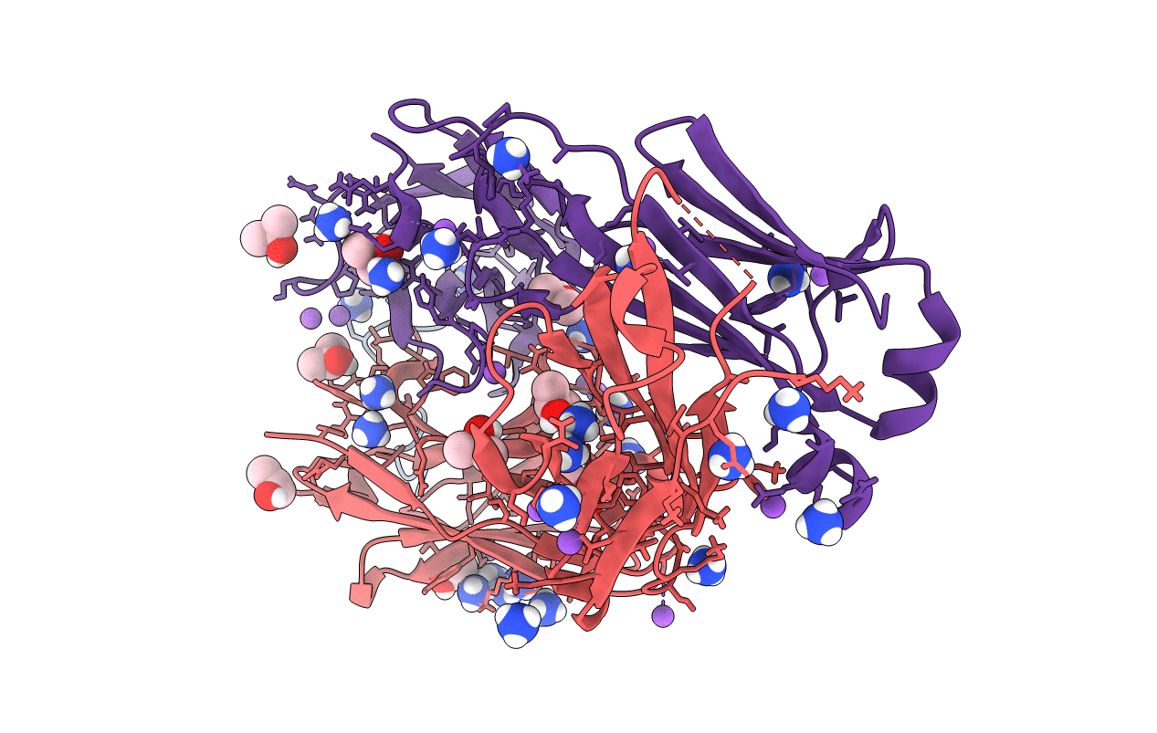 6B5S image