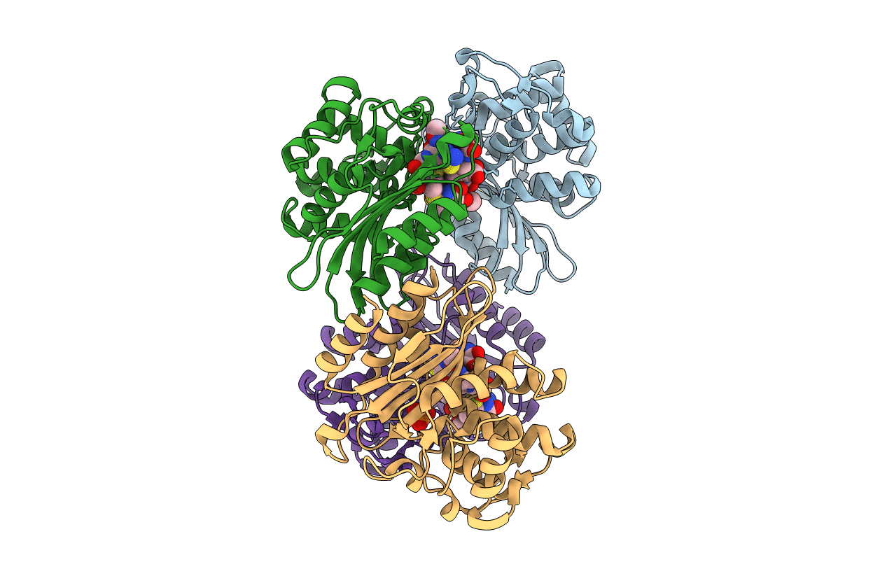 6B5Y image