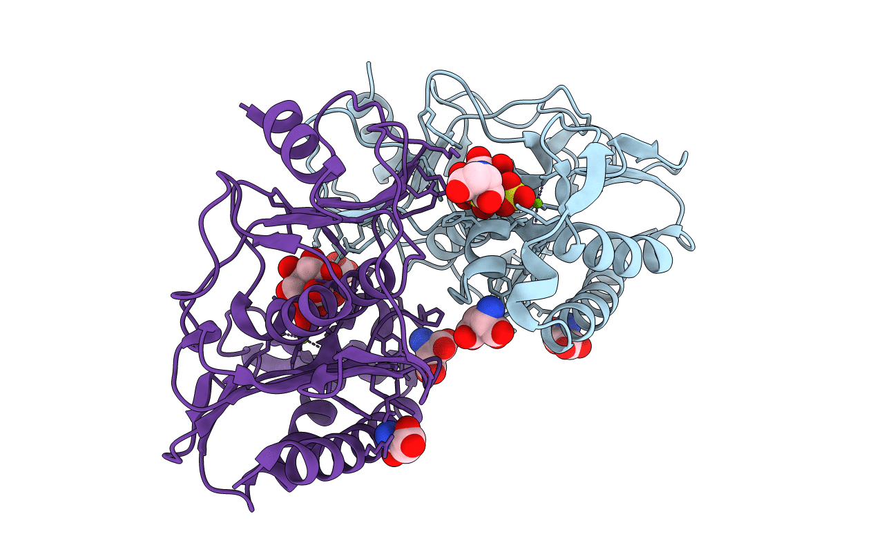 6B5Z image